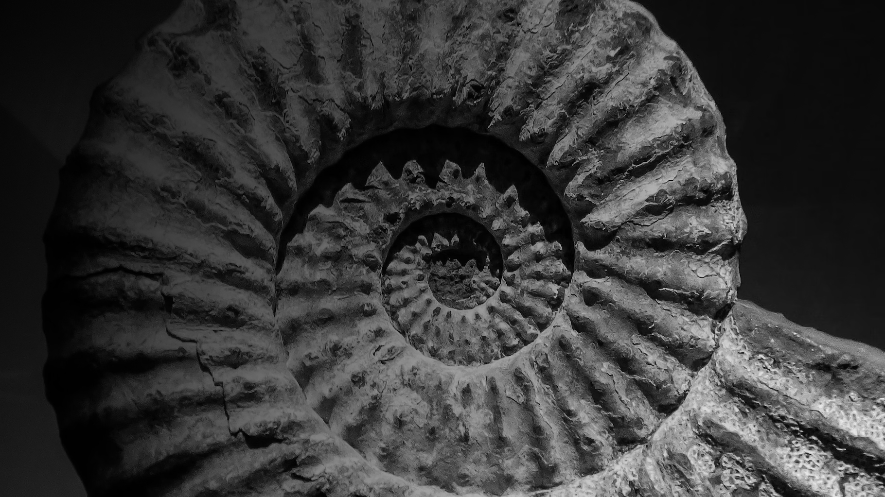 Datação por carbono das suas obras